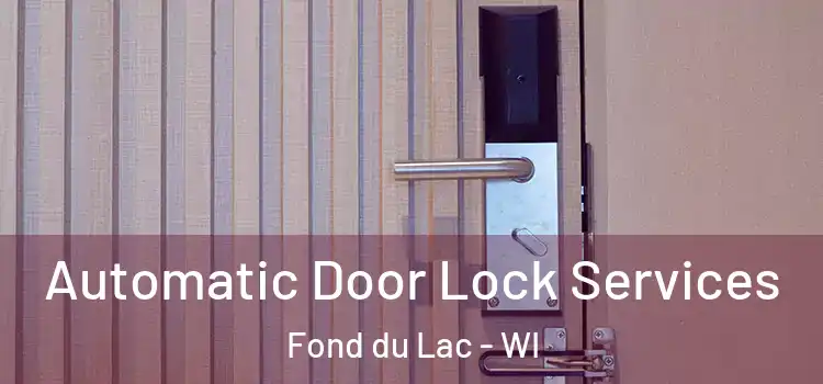 Automatic Door Lock Services Fond du Lac - WI