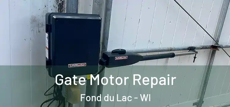 Gate Motor Repair Fond du Lac - WI