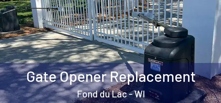 Gate Opener Replacement Fond du Lac - WI