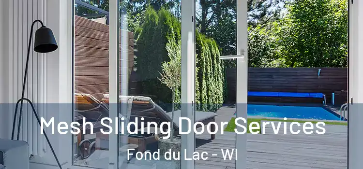  Mesh Sliding Door Services Fond du Lac - WI